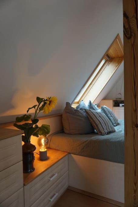 Apartment Mit Ausblick Im Dresdner Suedwesten Дрезден Екстериор снимка