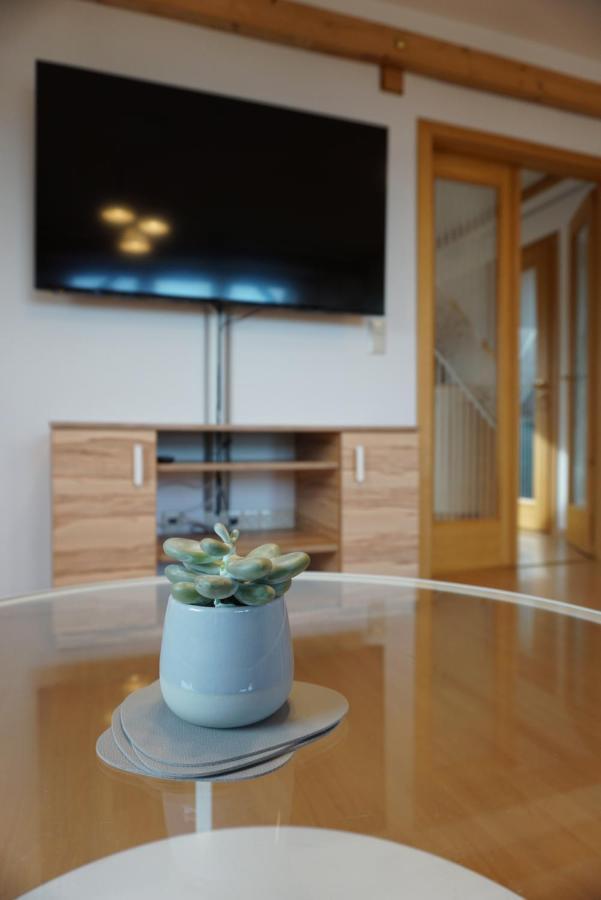 Apartment Mit Ausblick Im Dresdner Suedwesten Дрезден Екстериор снимка
